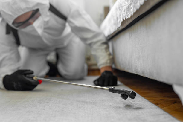 Professional Bed Bug Control technician working in Port Angeles East, WA