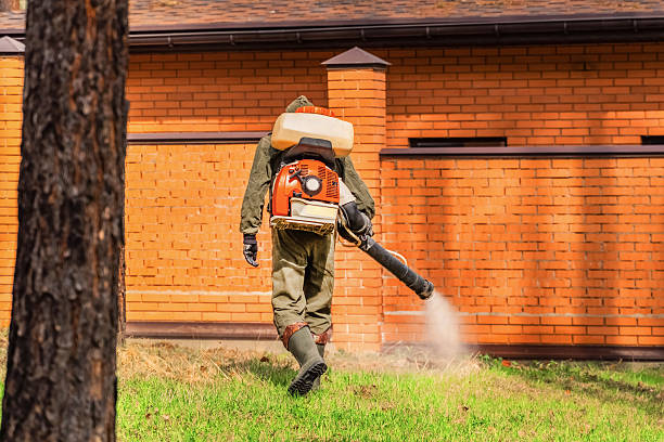 Trusted Rodent Control service in Port Angeles East, WA - Nex Pest Control